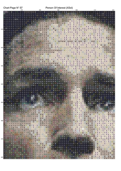 Expertly created by Sam, Person Of Interest patterns. Person Of Interest is an action TV show pattern that comes as a full coverage pattern with no back-stitching. Additionally, Person Of Interest is available in 2 different design sizes - cross stitch regular & XL And each sale includes both B&W and colour charts