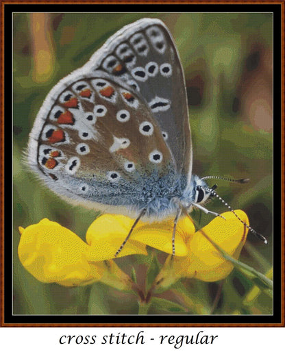 Expertly created from art by TheOtherKev, under Public Domain CC0 license, Common Blue Butterfly patterns. Common Blue Butterfly is a feline art pattern that comes as a full coverage pattern with no back-stitching. Additionally, Common Blue Butterfly is available in 2 different design sizes - cross stitch regular & XL And each sale includes both B&W and colour charts