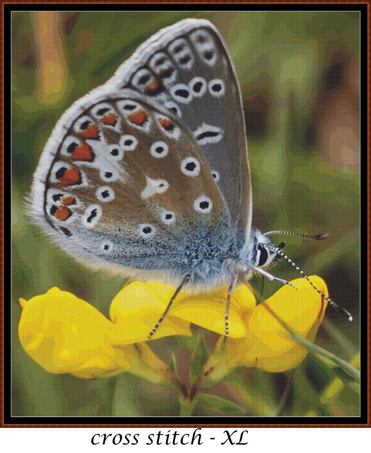 Expertly created from art by TheOtherKev, under Public Domain CC0 license, Common Blue Butterfly patterns. Common Blue Butterfly is a feline art pattern that comes as a full coverage pattern with no back-stitching. Additionally, Common Blue Butterfly is available in 2 different design sizes - cross stitch regular & XL And each sale includes both B&W and colour charts
