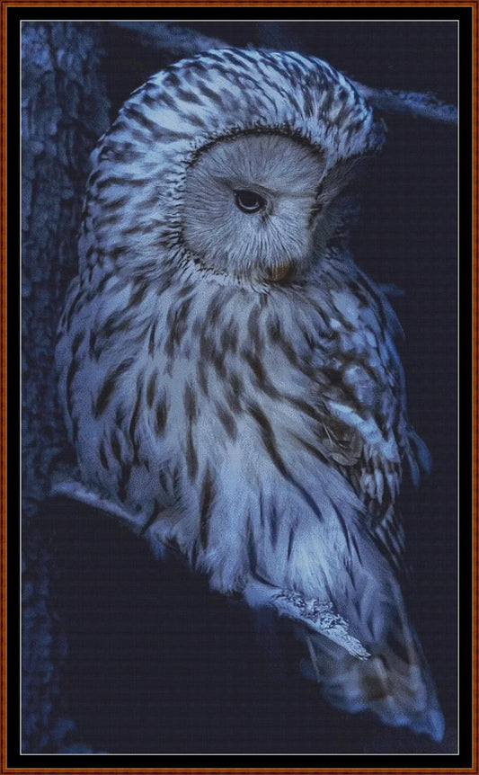 Expertly created from art by Erik Karits, under Public Domain CC0 license, Owl Expressions - Sad patterns. Owl Expressions - Sad is a rather blue owl pattern that comes as a full coverage pattern with no back-stitching. Additionally, Owl Expressions - Sad is available in 2 different design sizes - cross stitch regular & XL And each sale includes both B&W and colour charts
