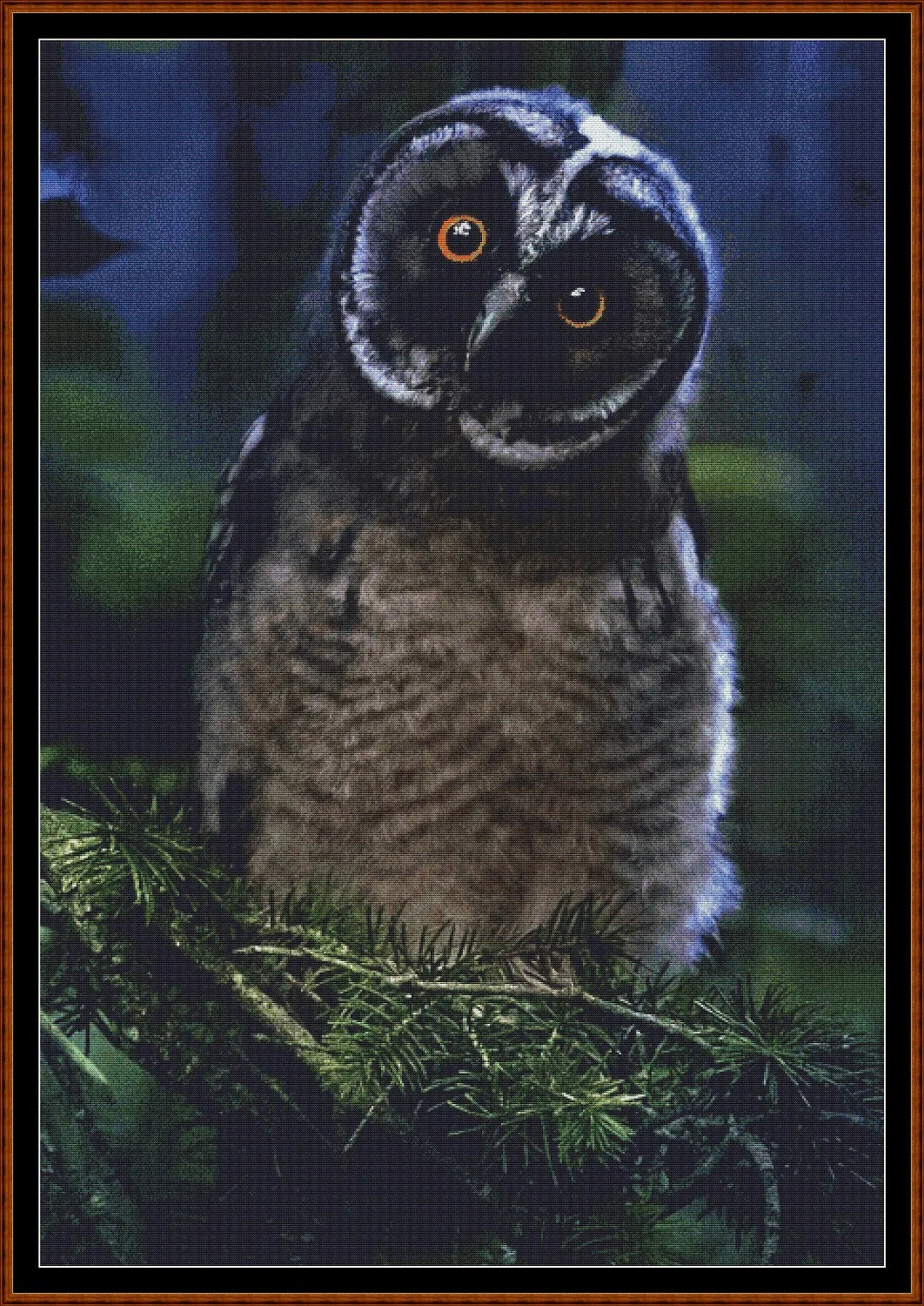 Expertly created from art by Erik Karits, under Public Domain CC0 license, Owl Expressions Inquisitive patterns. Owl Expressions Inquisitive is a cute bird pattern that comes as a full coverage pattern with no back-stitching. Additionally, Owl Expressions Inquisitive is available in 2 different design sizes - cross stitch regular & XL And each sale includes both B&W and colour charts