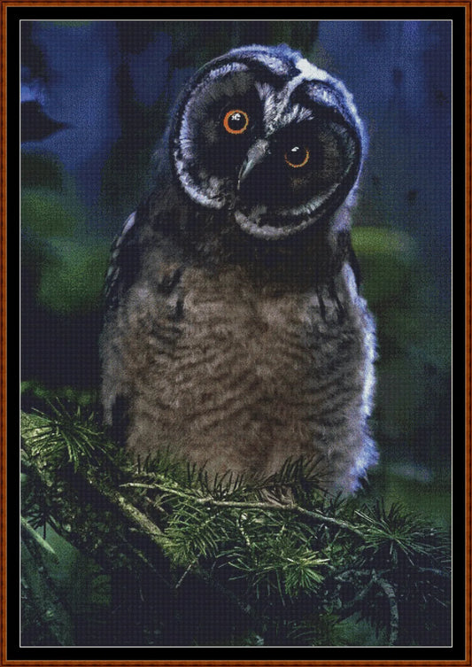 Expertly created from art by Erik Karits, under Public Domain CC0 license, Owl Expressions Inquisitive patterns. Owl Expressions Inquisitive is a cute bird pattern that comes as a full coverage pattern with no back-stitching. Additionally, Owl Expressions Inquisitive is available in 2 different design sizes - cross stitch regular & XL And each sale includes both B&W and colour charts