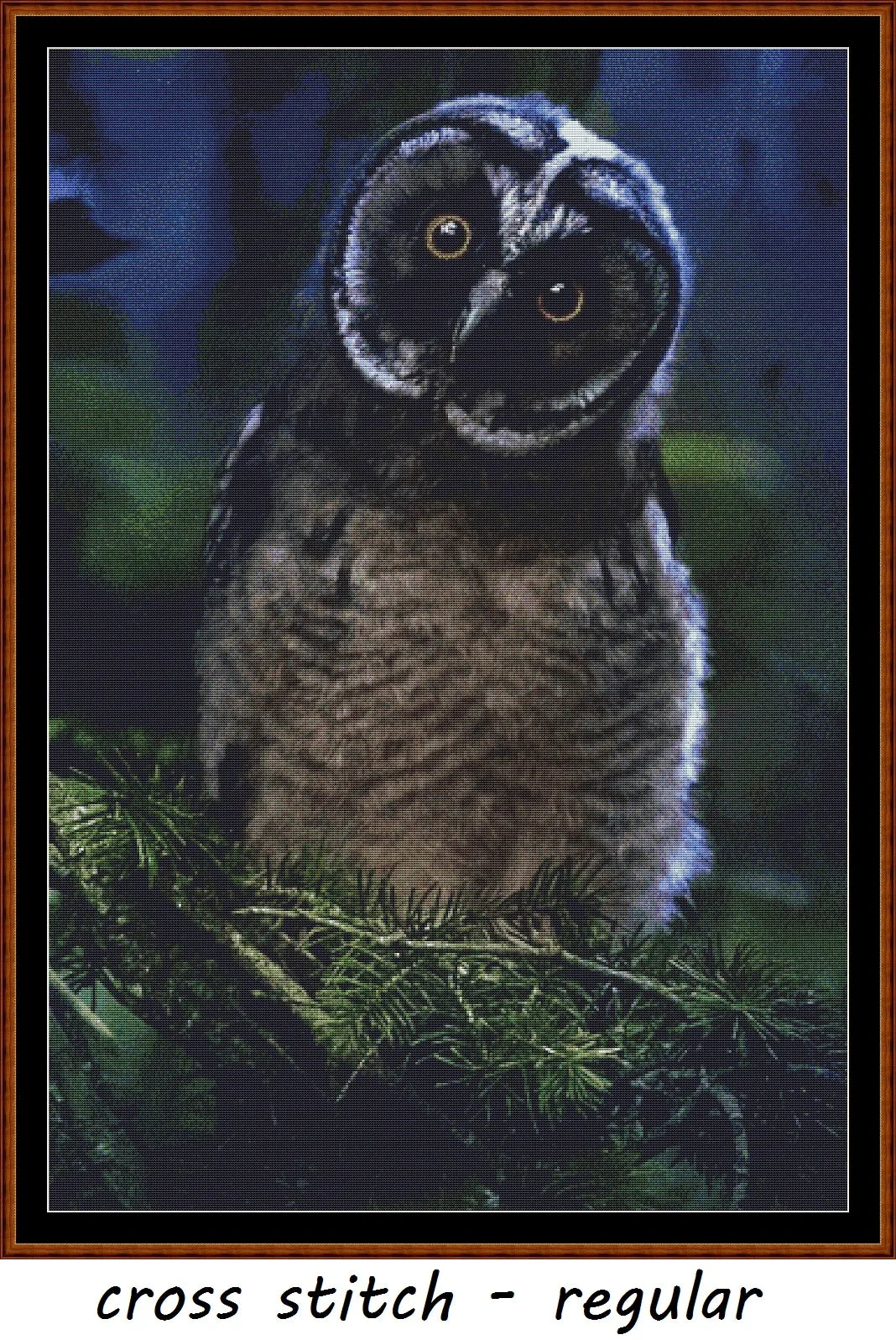 Expertly created from art by Erik Karits, under Public Domain CC0 license, Owl Expressions Inquisitive patterns. Owl Expressions Inquisitive is a cute bird pattern that comes as a full coverage pattern with no back-stitching. Additionally, Owl Expressions Inquisitive is available in 2 different design sizes - cross stitch regular & XL And each sale includes both B&W and colour charts