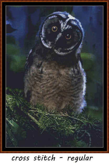 Expertly created from art by Erik Karits, under Public Domain CC0 license, Owl Expressions Inquisitive patterns. Owl Expressions Inquisitive is a cute bird pattern that comes as a full coverage pattern with no back-stitching. Additionally, Owl Expressions Inquisitive is available in 2 different design sizes - cross stitch regular & XL And each sale includes both B&W and colour charts