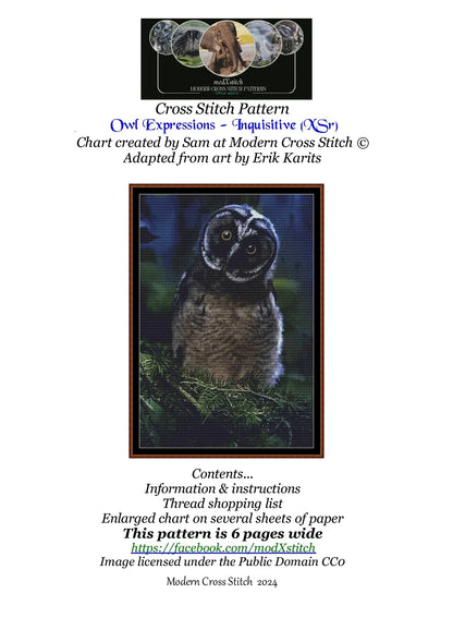 Expertly created from art by Erik Karits, under Public Domain CC0 license, Owl Expressions Inquisitive patterns. Owl Expressions Inquisitive is a cute bird pattern that comes as a full coverage pattern with no back-stitching. Additionally, Owl Expressions Inquisitive is available in 2 different design sizes - cross stitch regular & XL And each sale includes both B&W and colour charts