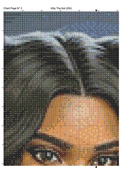 Expertly created from art by Cathe, under Public Domain CC0 license, Kitty The Kat patterns. Kitty The Kat is a fantasy humanoid feline cat pattern that comes as a full coverage pattern with no back-stitching.