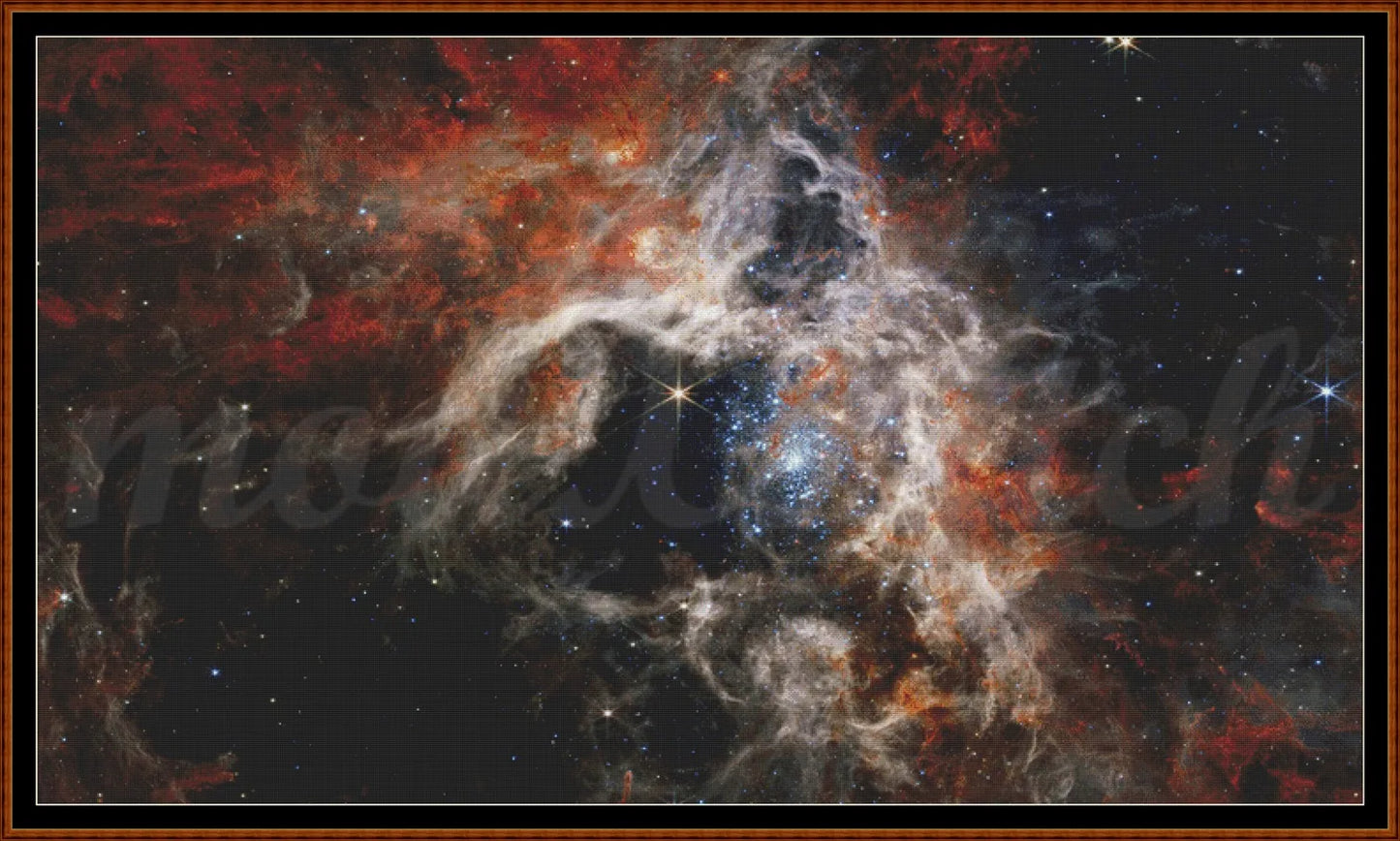 Tarantula Nebula