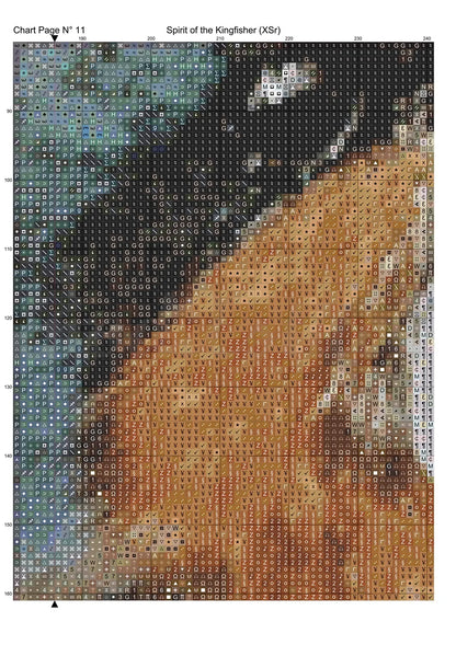 Spirit Of The Kingfisher