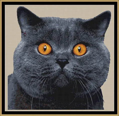 Expertly created by Sam, Blue cat pattern. Blue is a feline pattern that comes as a non- full coverage pattern with no back-stitching. Additionally, Blue is available in just 1 design size - cross stitch regular And each sale includes both B&W and colour charts