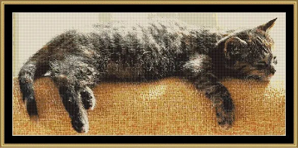 Midday Nap  