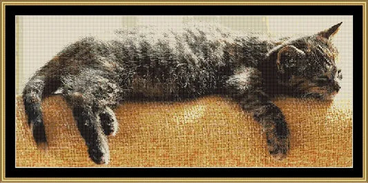 Midday Nap  
