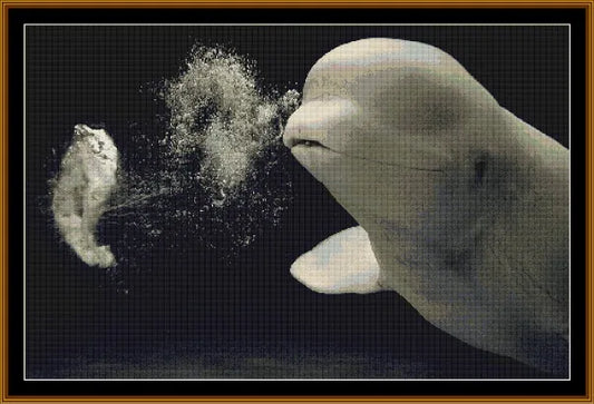 Beluga Whale  