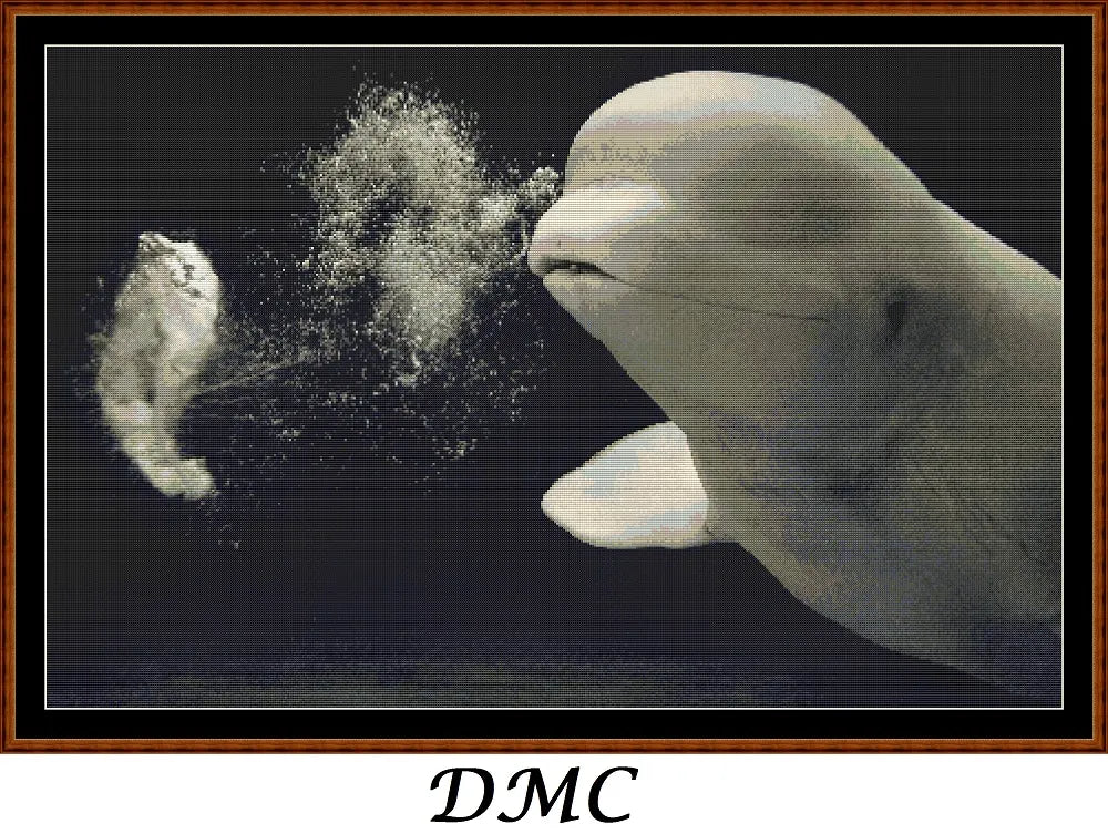 Beluga Whale  