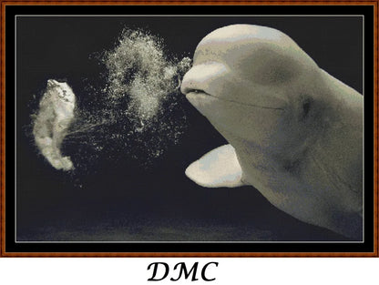 Beluga Whale  