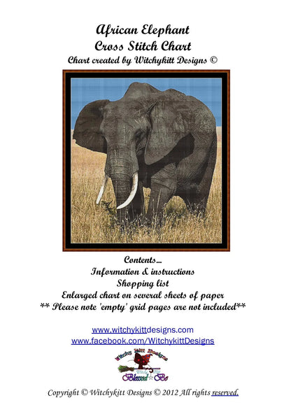 African Elephant  