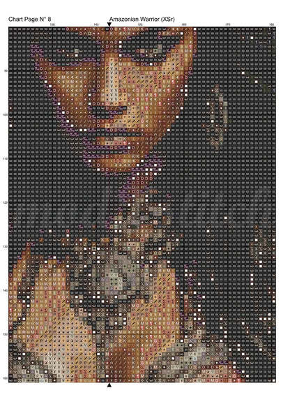 Amazonian Warrior