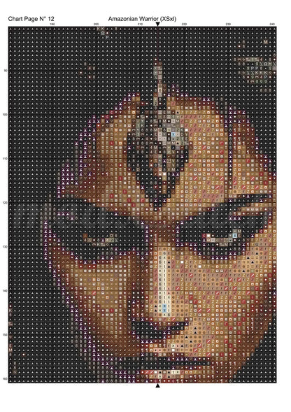 Amazonian Warrior