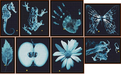 Fringe Patterns Pack - 8 Patterns