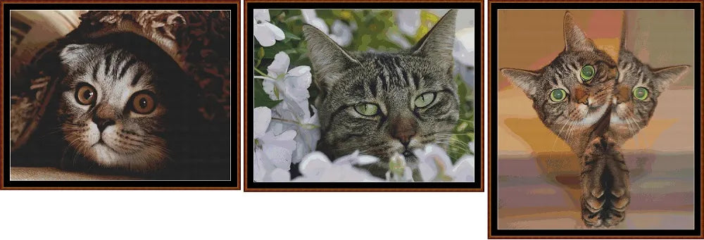 Hidey Kits 3   Charts Pack