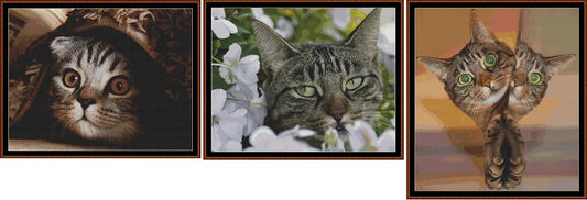 Hidey Kits 3   Charts Pack