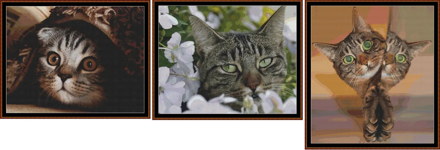 Hidey Kits 3   Charts Pack