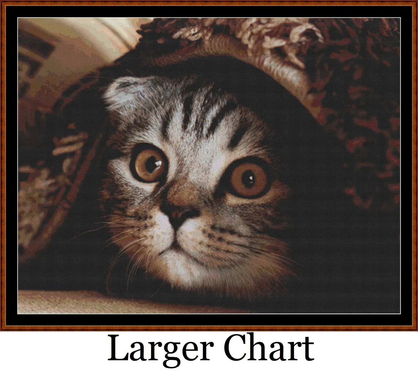 Hidey Kits 3   Charts Pack