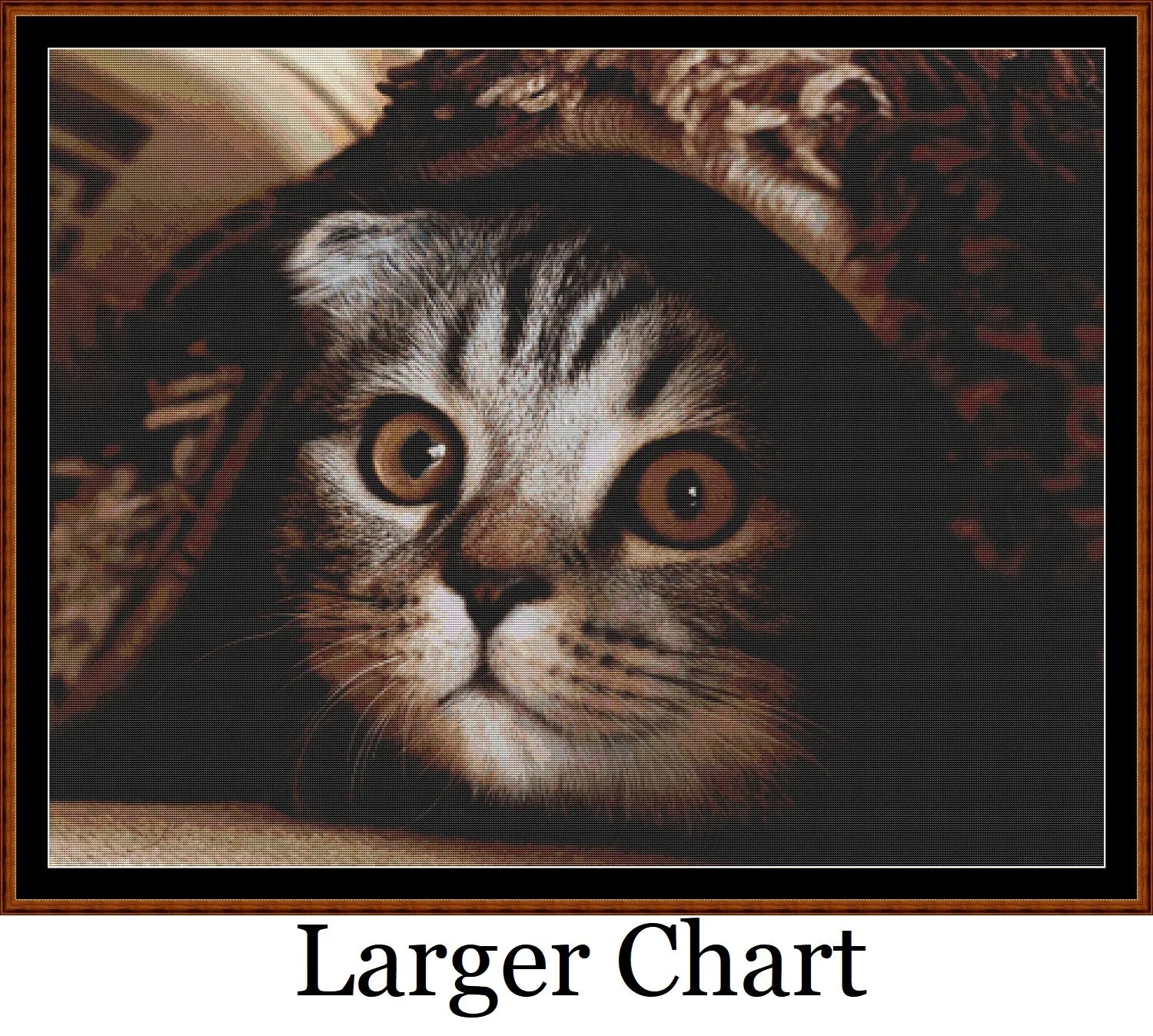 Hidey Kits 3   Charts Pack