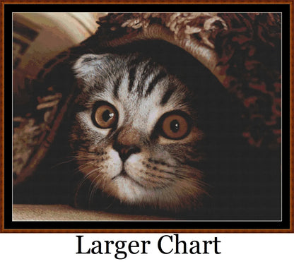 Hidey Kits 3   Charts Pack