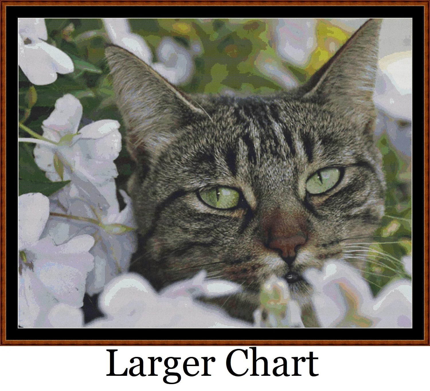 Hidey Kits 3   Charts Pack