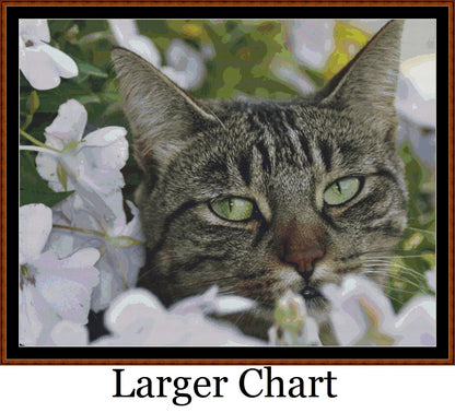 Hidey Kits 3   Charts Pack
