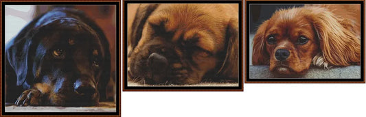 Sleepy Pups 1- 3   Charts Pack
