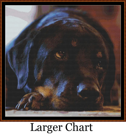 Sleepy Pups 1- 3   Charts Pack