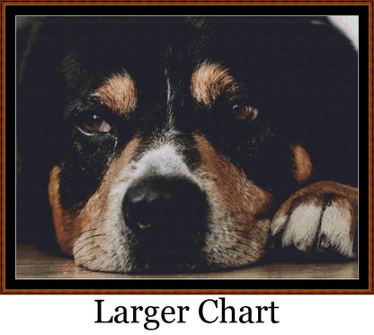Sleepy Pups 2 - 3   Charts Pack