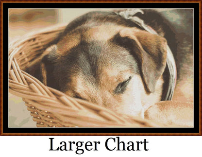 Sleepy Pups 2 - 3   Charts Pack