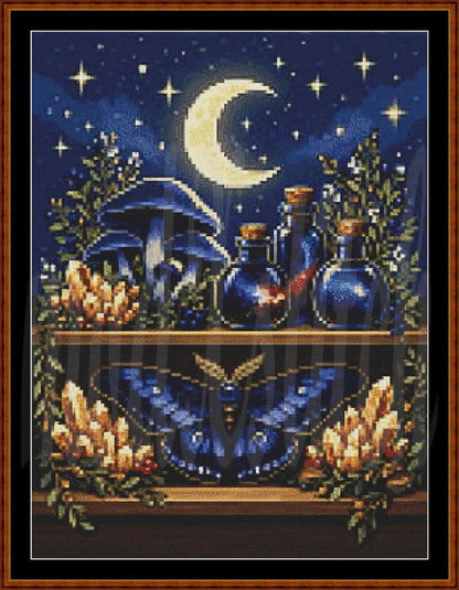 A framed needlepoint or cross-stitch style artwork showing a mystical night scene with a crescent moon, stars, blue mushrooms, blue potion bottles, a large blue moth, and glowing crystals on a shelf.