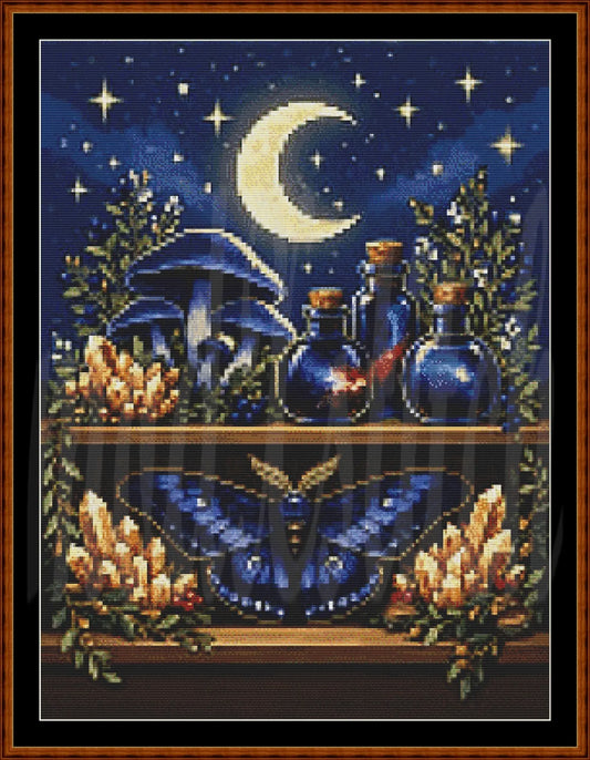 A framed needlepoint or cross-stitch style artwork showing a mystical night scene with a crescent moon, stars, blue mushrooms, blue potion bottles, a large blue moth, and glowing crystals on a shelf.