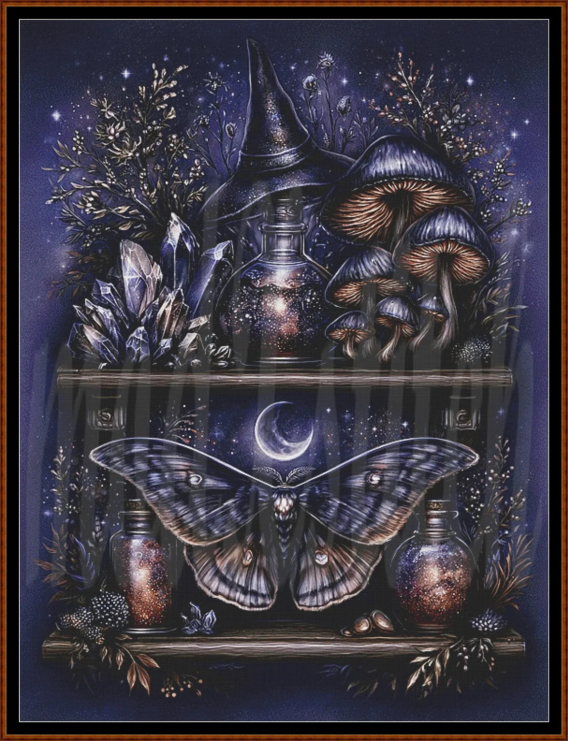 A framed mystical artwork featuring a large moth and a witch's hat on wooden shelves, surrounded by mushrooms, crystals, bottles, stars, and a dark blue night sky.