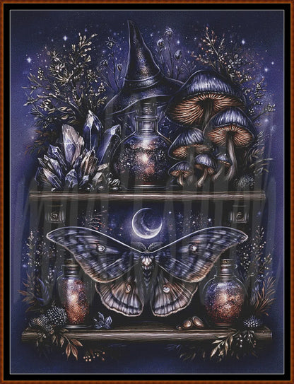A framed mystical artwork featuring a large moth and a witch's hat on wooden shelves, surrounded by mushrooms, crystals, bottles, stars, and a dark blue night sky.