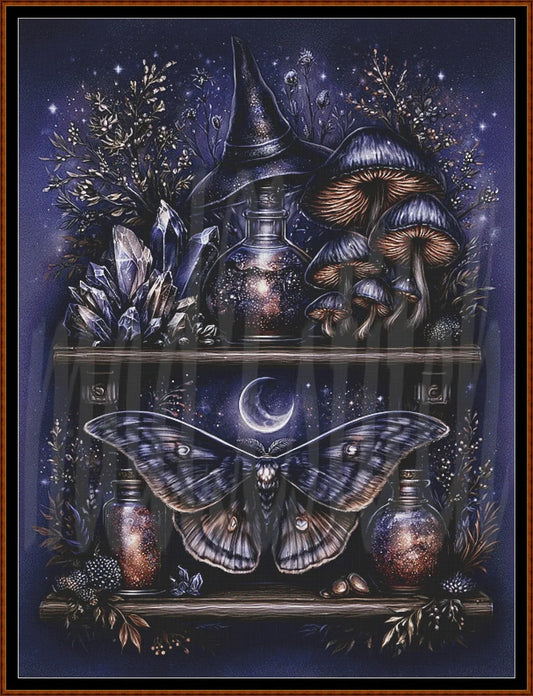 A framed mystical artwork featuring a large moth and a witch's hat on wooden shelves, surrounded by mushrooms, crystals, bottles, stars, and a dark blue night sky.
