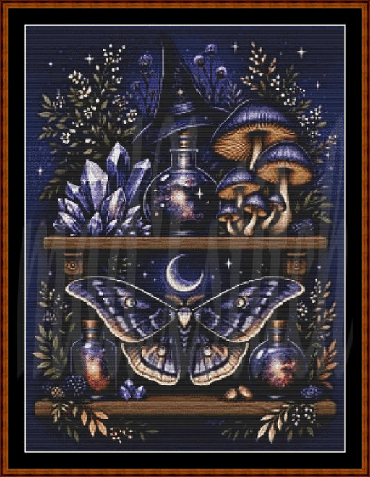 A framed mystical artwork featuring a large moth and a witch's hat on wooden shelves, surrounded by mushrooms, crystals, bottles, stars, and a dark blue night sky.